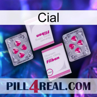 Cial 33